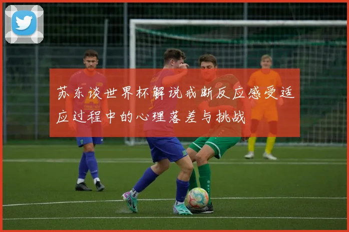 苏东谈世界杯解说戒断反应感受适应过程中的心理落差与挑战