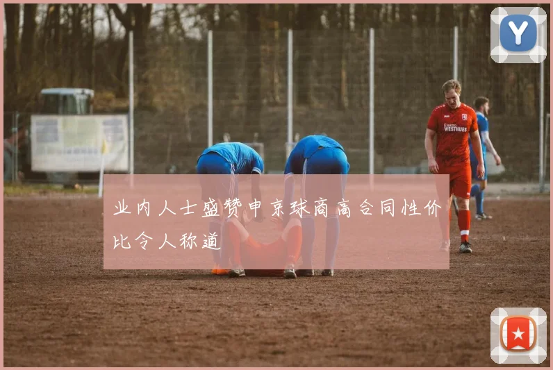业内人士盛赞申京球商高合同性价比令人称道