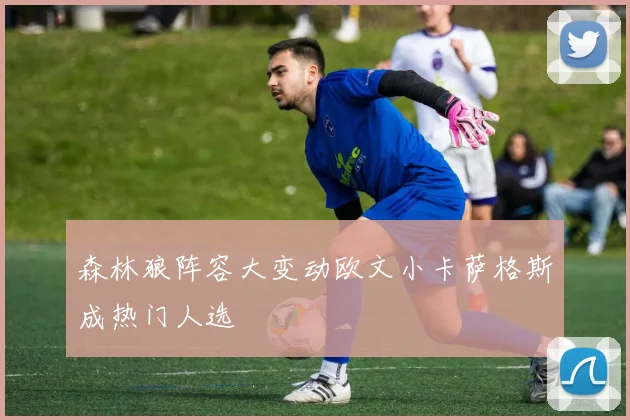 森林狼阵容大变动欧文小卡萨格斯成热门人选